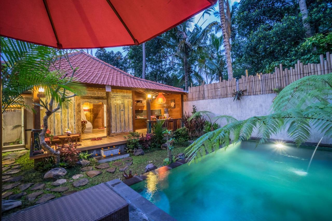 The Forest Villa Ubud Dış mekan fotoğraf